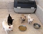 Click image for larger version.&nbsp;

Name:	DSCN3798.jpg&nbsp;
Views:	112&nbsp;
Size:	42.6 KB&nbsp;
ID:	60135