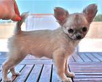 Click image for larger version.&nbsp;

Name:	IMG_2891.jpg&nbsp;
Views:	43&nbsp;
Size:	39.8 KB&nbsp;
ID:	60445