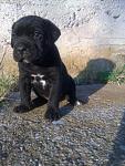 Click image for larger version.&nbsp;

Name:	picture111lg.jpg&nbsp;
Views:	44&nbsp;
Size:	55.7 KB&nbsp;
ID:	67959