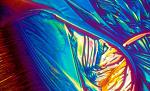 Click image for larger version.&nbsp;

Name:	champagne.jpg&nbsp;
Views:	116&nbsp;
Size:	12.6 KB&nbsp;
ID:	116865