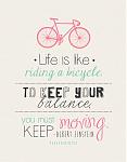 Click image for larger version. 

Name:	39111-Life-Is-Like-Riding-A-Bicycle.jpg 
Views:	46 
Size:	11.5 KB 
ID:	165034