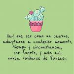 Click image for larger version.&nbsp;

Name:	cactus-543.jpg&nbsp;
Views:	68&nbsp;
Size:	12.6 KB&nbsp;
ID:	170030