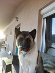 Click image for larger version.&nbsp;

Name:	IMG_20211124_151908.jpg&nbsp;
Views:	190&nbsp;
Size:	12.1 KB&nbsp;
ID:	173869