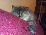 Click image for larger version.&nbsp;

Name:	170420112263.jpg&nbsp;
Views:	104&nbsp;
Size:	59.0 KB&nbsp;
ID:	56288
