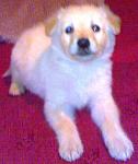 Click image for larger version.&nbsp;

Name:	070420112256.jpg&nbsp;
Views:	77&nbsp;
Size:	40.4 KB&nbsp;
ID:	56358