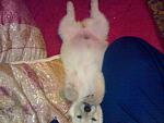 Click image for larger version.&nbsp;

Name:	070420112259.jpg&nbsp;
Views:	89&nbsp;
Size:	61.5 KB&nbsp;
ID:	56361