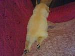 Click image for larger version.&nbsp;

Name:	070420112251.jpg&nbsp;
Views:	122&nbsp;
Size:	57.2 KB&nbsp;
ID:	56365