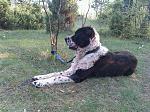 Click image for larger version.&nbsp;

Name:	untitled.JPG&nbsp;
Views:	167&nbsp;
Size:	88.7 KB&nbsp;
ID:	56554