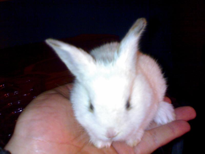 Name:  250420112264.jpg
Views: 576
Size:  28.4 KB