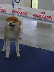Click image for larger version.&nbsp;

Name:	IWASAKI GO YUKI 01.jpg&nbsp;
Views:	80&nbsp;
Size:	23.0 KB&nbsp;
ID:	58156