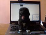Click image for larger version.&nbsp;

Name:	240520112299.jpg&nbsp;
Views:	89&nbsp;
Size:	34.1 KB&nbsp;
ID:	58226
