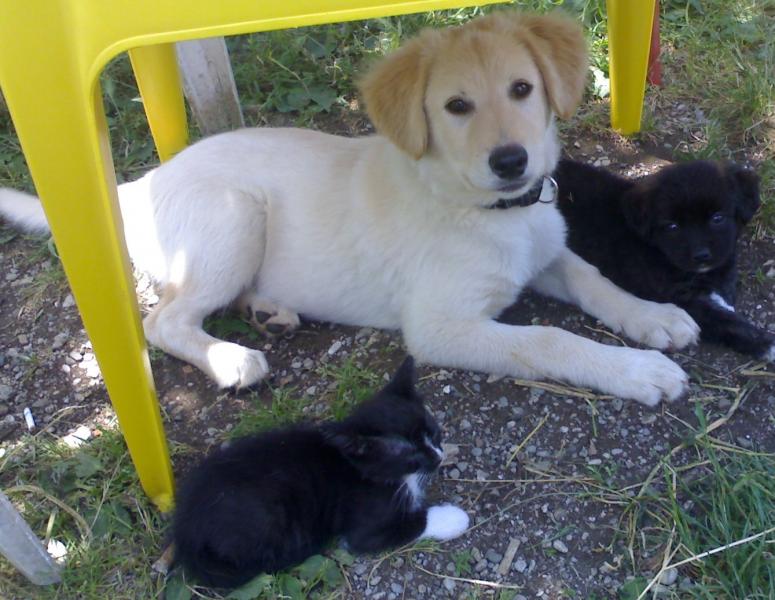 Name:  040620112317 - Copy.jpg
Views: 582
Size:  72.7 KB
