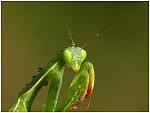 Click image for larger version.&nbsp;

Name:	211068.jpg&nbsp;
Views:	127&nbsp;
Size:	45.5 KB&nbsp;
ID:	63351