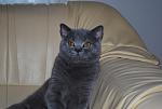 Click image for larger version.&nbsp;

Name:	DSC_0001.jpg&nbsp;
Views:	114&nbsp;
Size:	34.9 KB&nbsp;
ID:	63498
