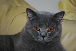 Click image for larger version.&nbsp;

Name:	DSC_0004.jpg&nbsp;
Views:	108&nbsp;
Size:	42.1 KB&nbsp;
ID:	63500