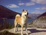 Click image for larger version.&nbsp;

Name:	13032010309.jpg&nbsp;
Views:	110&nbsp;
Size:	72.9 KB&nbsp;
ID:	65865