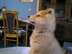Click image for larger version.&nbsp;

Name:	Photo-0083.jpg&nbsp;
Views:	111&nbsp;
Size:	46.5 KB&nbsp;
ID:	65866