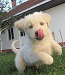 Click image for larger version.&nbsp;

Name:	cdm.jpg&nbsp;
Views:	128&nbsp;
Size:	46.1 KB&nbsp;
ID:	66146