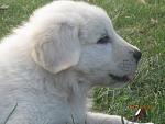 Click image for larger version.&nbsp;

Name:	IMG_3935.jpg&nbsp;
Views:	456&nbsp;
Size:	54.1 KB&nbsp;
ID:	66149