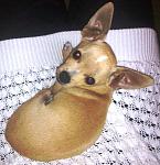 Click image for larger version.&nbsp;

Name:	06102011188.jpg&nbsp;
Views:	101&nbsp;
Size:	56.8 KB&nbsp;
ID:	67044