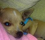 Click image for larger version.&nbsp;

Name:	07102011196.jpg&nbsp;
Views:	94&nbsp;
Size:	59.1 KB&nbsp;
ID:	67046