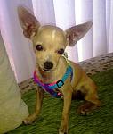 Click image for larger version.&nbsp;

Name:	07102011200.jpg&nbsp;
Views:	118&nbsp;
Size:	38.1 KB&nbsp;
ID:	67048