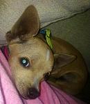 Click image for larger version.&nbsp;

Name:	07102011201.jpg&nbsp;
Views:	99&nbsp;
Size:	44.1 KB&nbsp;
ID:	67049