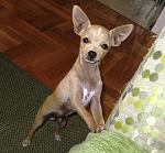 Click image for larger version.&nbsp;

Name:	IMG_0809.JPG&nbsp;
Views:	106&nbsp;
Size:	102.7 KB&nbsp;
ID:	67050