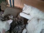 Click image for larger version.&nbsp;

Name:	2011-10-27 10.48.14.jpg&nbsp;
Views:	115&nbsp;
Size:	137.8 KB&nbsp;
ID:	68206