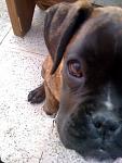 Click image for larger version.&nbsp;

Name:	roxy.jpg&nbsp;
Views:	117&nbsp;
Size:	70.9 KB&nbsp;
ID:	69001