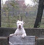 Click image for larger version.&nbsp;

Name:	Maza.jpg&nbsp;
Views:	243&nbsp;
Size:	70.2 KB&nbsp;
ID:	70576