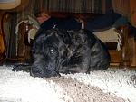 Click image for larger version.&nbsp;

Name:	SAM_0502.jpg&nbsp;
Views:	126&nbsp;
Size:	62.7 KB&nbsp;
ID:	72071