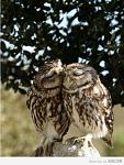 Click image for larger version.&nbsp;

Name:	868610_460s_v1.jpg&nbsp;
Views:	620&nbsp;
Size:	41.8 KB&nbsp;
ID:	72671