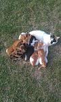 Click image for larger version.&nbsp;

Name:	IMAG0508.jpg&nbsp;
Views:	121&nbsp;
Size:	63.5 KB&nbsp;
ID:	73725