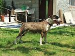 Click image for larger version.&nbsp;

Name:	fejs tera 1.jpg&nbsp;
Views:	122&nbsp;
Size:	121.7 KB&nbsp;
ID:	75591