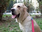 Click image for larger version.&nbsp;

Name:	SDC18395.jpg&nbsp;
Views:	76&nbsp;
Size:	105.4 KB&nbsp;
ID:	76449