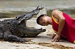 Click image for larger version.&nbsp;

Name:	krokodil.jpg&nbsp;
Views:	120&nbsp;
Size:	10.4 KB&nbsp;
ID:	80634