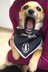 Click image for larger version.&nbsp;

Name:	IMG_9678.jpg&nbsp;
Views:	103&nbsp;
Size:	9.8 KB&nbsp;
ID:	97869