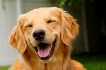Click image for larger version.&nbsp;

Name:	nova8.jpg&nbsp;
Views:	106&nbsp;
Size:	10.7 KB&nbsp;
ID:	98234