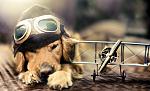 Click image for larger version.&nbsp;

Name:	nova10.jpg&nbsp;
Views:	123&nbsp;
Size:	12.1 KB&nbsp;
ID:	98235