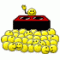 AP's Avatar