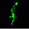 ZAre's Avatar
