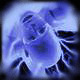 AwAsH's Avatar