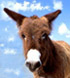 paquito's Avatar