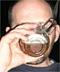 Caslav's Avatar