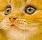 angely's Avatar