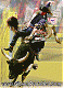 The_Doctor's Avatar