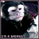 B_ZZ's Avatar