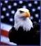 Sailoreagle's Avatar