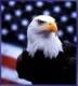 Sailoreagle's Avatar